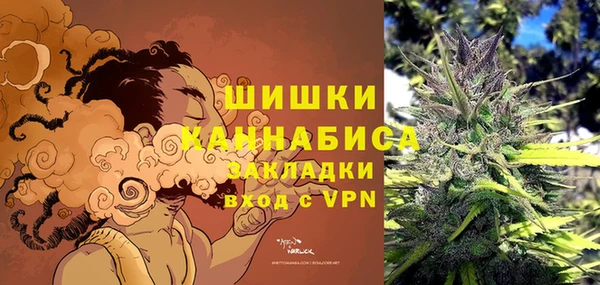 прущие грибы Нязепетровск