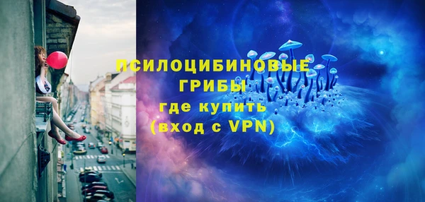 прущие грибы Нязепетровск