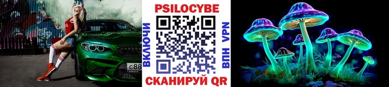 Галлюциногенные грибы Psilocybe  Эртиль 